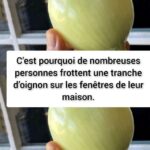 Une salade de concombre rafraîchissante et légère